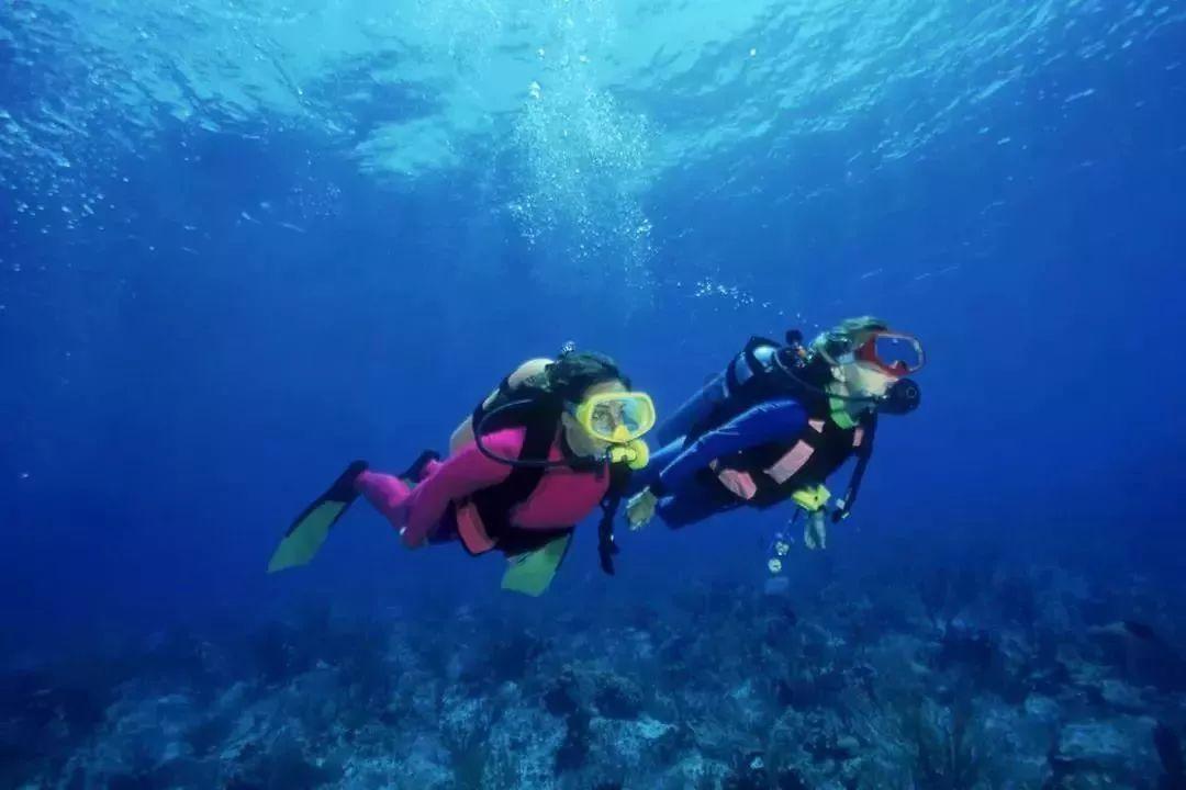 燃烧吧大脑装瓶子游戏